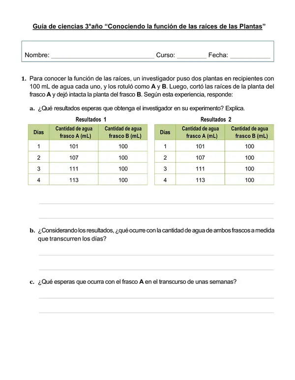 Guía "Conociendo la función de las raíces de las Plantas" 3°año