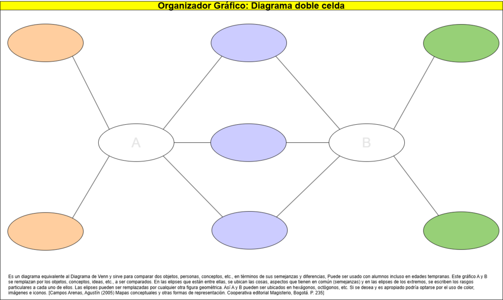 905.Organizador Gráfico, Diagrama doble celda.png