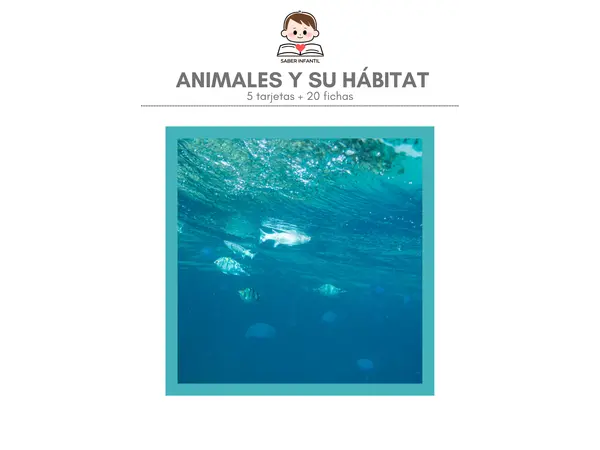 ANIMALES Y SU HÁBITAT