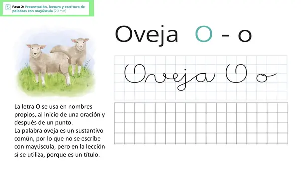 Oveja lección 3 Parte 2 Método matte