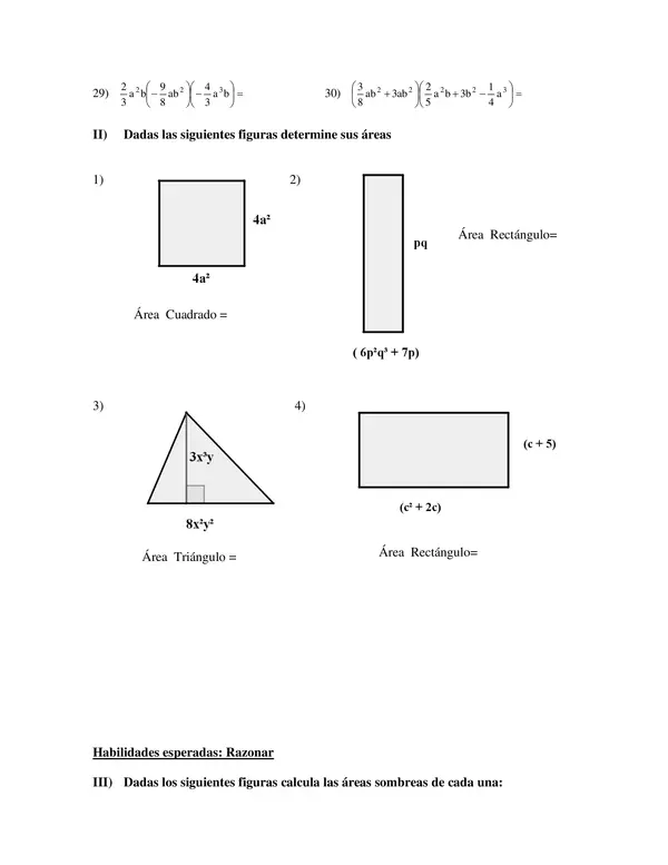  Multiplicación de Expresiones Algebraicas y Cálculo de Áreas"PRIMERO MEDIO