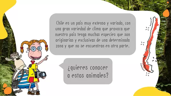 Animales nativos en peligro de extinción chilenos (1° parte)