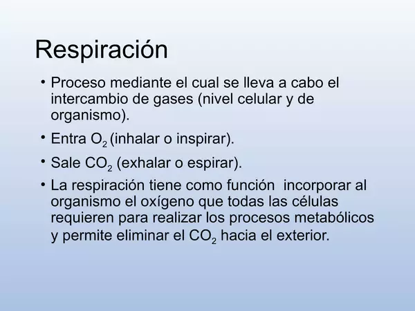 Presentacion Aparato Respiratorio, Octavo Basico, cs naturales