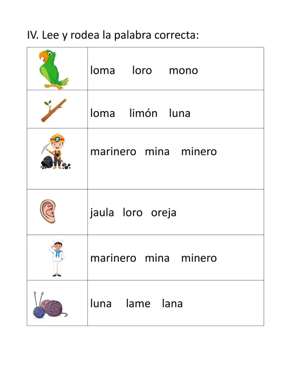 guía método Matte lección loro, apoyo