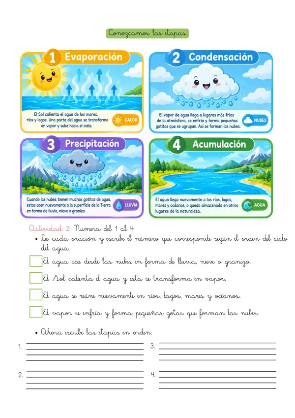 Guía Ilustrada: El Ciclo del Agua (Lectura, Esquema y Actividades)