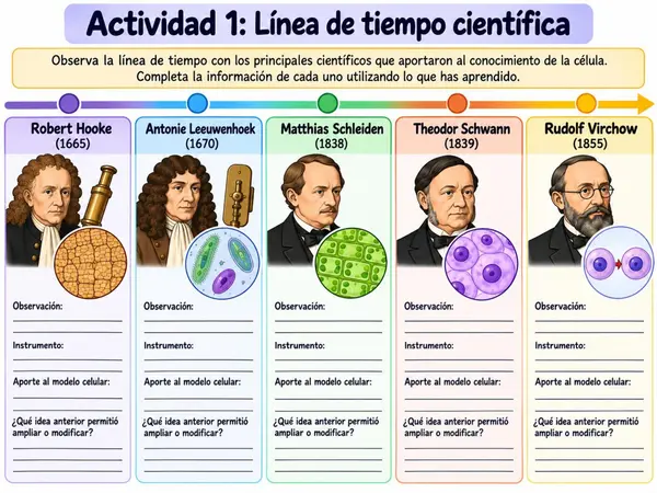 Actividades evolución de los modelos de la célula - 8° ciencias naturales