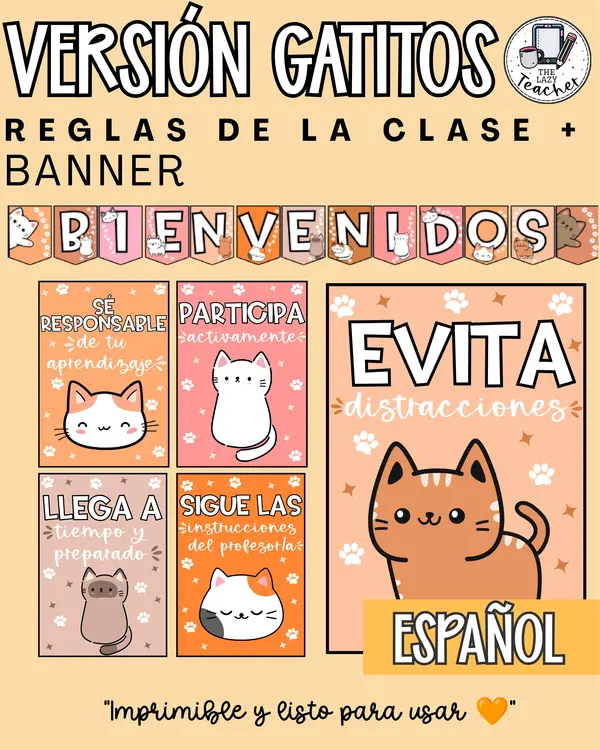 SET DECORACIÓN SALA DE CLASES - BANNER + POSTERS