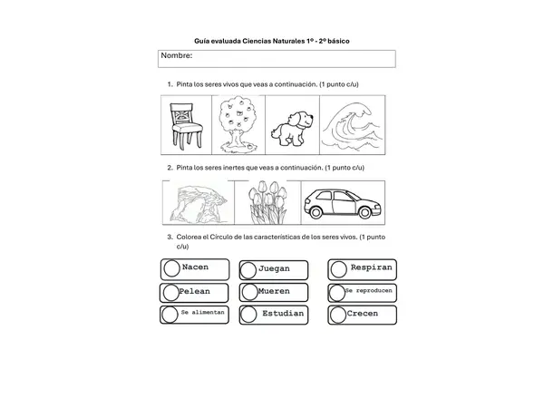 Guía de Ciencias Naturales
