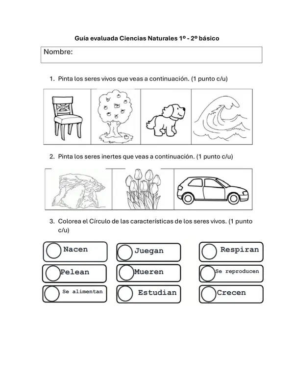 Guía de Ciencias Naturales