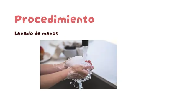 Receta de omelette 