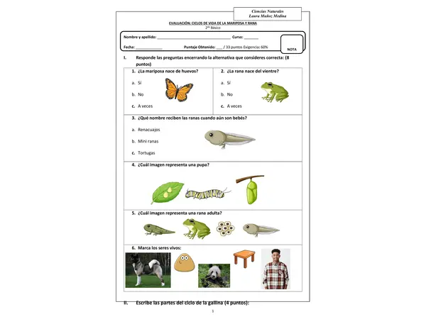 Evaluación de ciencias, ciclo de los animales rana y mariposa