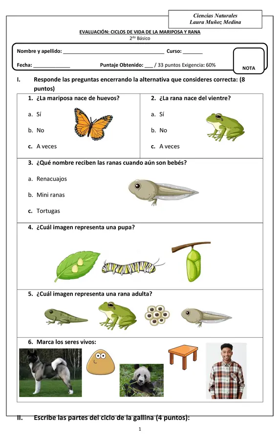Evaluación de ciencias, ciclo de los animales rana y mariposa