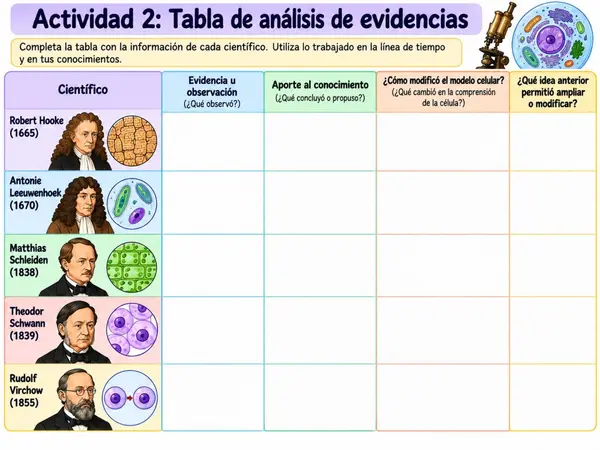 Actividades evolución de los modelos de la célula - 8° ciencias naturales