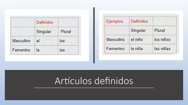 Presentacion ArticulosDefinidos e indifinidos Lenguaje Primero Basico