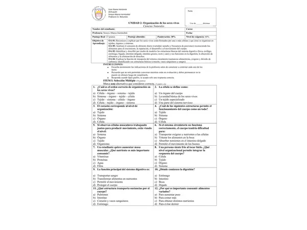 Evaluacion sumativa, ciencias: Organización de los seres vivos, 5° básico, unidad 2 