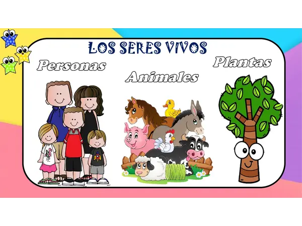 CICLO DE VIDA DEL SER HUMANO