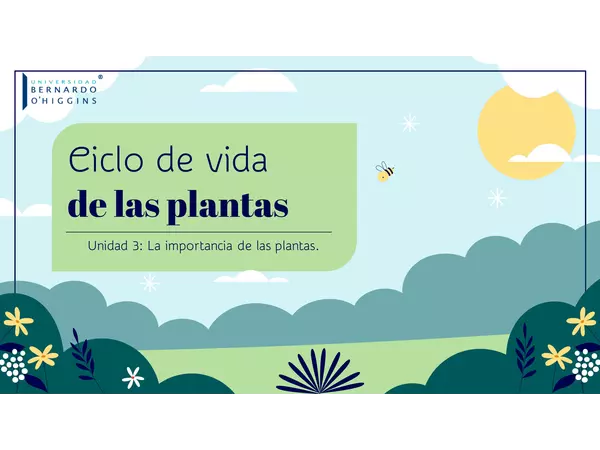 Ciclo de vida: Plantas con flores