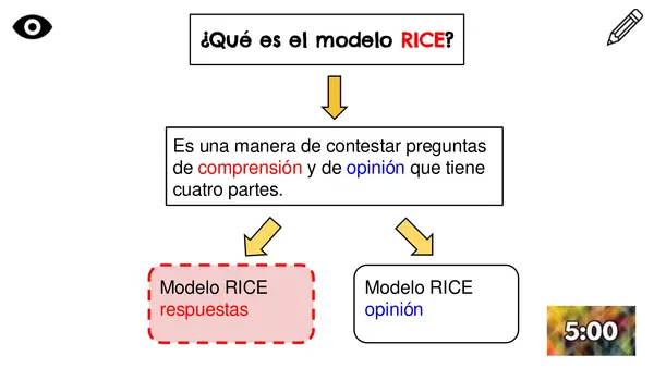 Modelo RICE respuesta SIMCE 4° y 6°