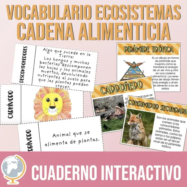 Cadena alimenticia Cuaderno interactivo de vocabulario