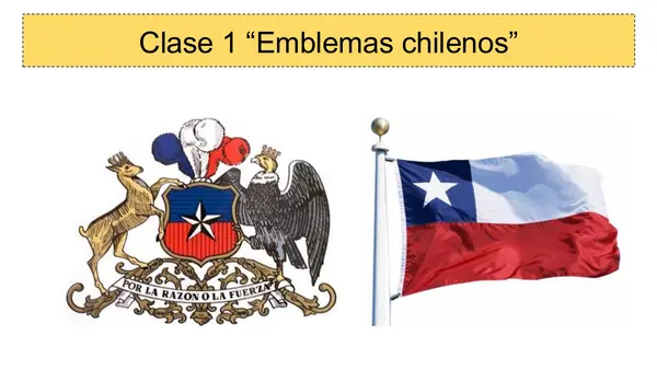 Somos Chilenos 