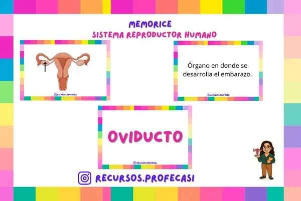 MEMORICE SISTEMA REPRODUCTOR HUMANO