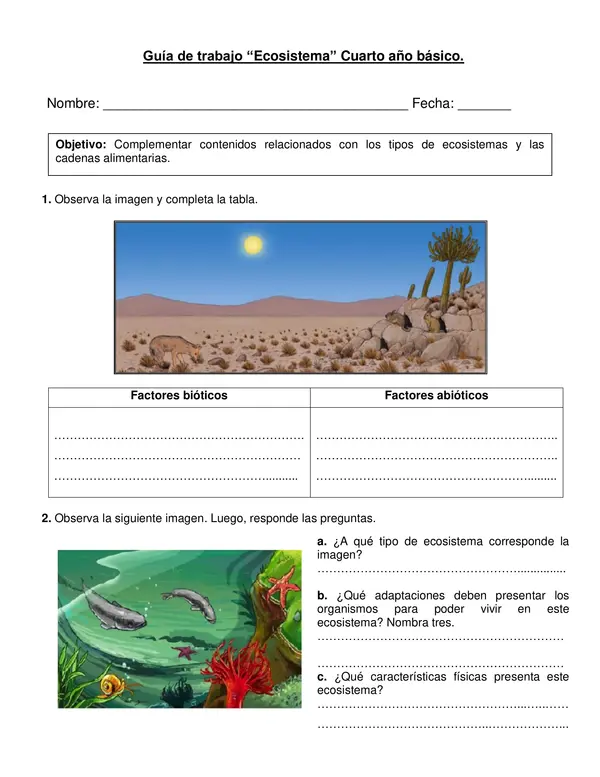 Guía de ciencias "Ecosistemas" 4° básico.