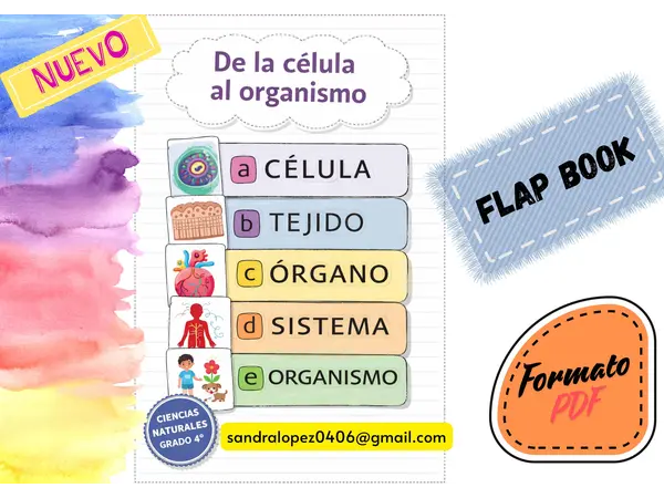 De la célula al organismo – Flap Book y Carteles Informativos