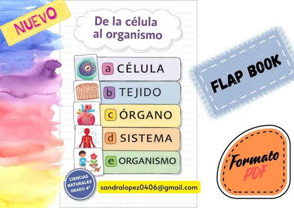 De la célula al organismo – Flap Book y Carteles Informativos