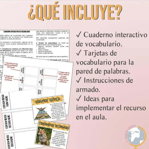 Cadena alimenticia Cuaderno interactivo de vocabulario