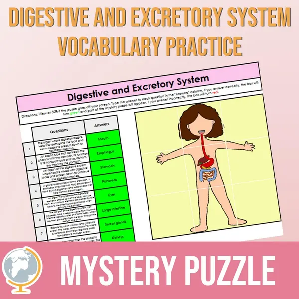 Digestive and Excretory System Mystery Puzzle