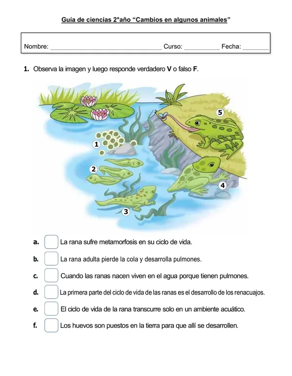 Guía de ciencias 2°año "Cambios en algunos animales"