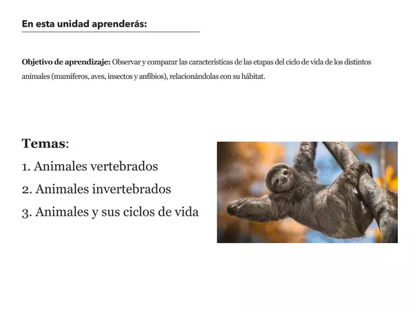 PORTAFOLIO DE LOS ANIMALES "VERTEBRADOS E INVERTEBRADOS"