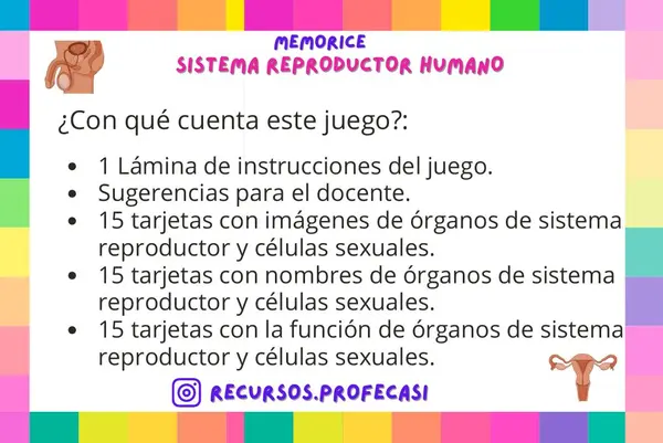 MEMORICE SISTEMA REPRODUCTOR HUMANO