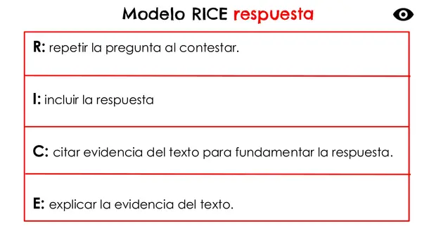 Modelo RICE respuesta SIMCE 4° y 6°