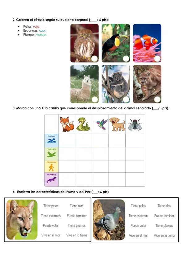 Evaluación ciencias naturales Unidad 2- Primero básico "Características de los animales".