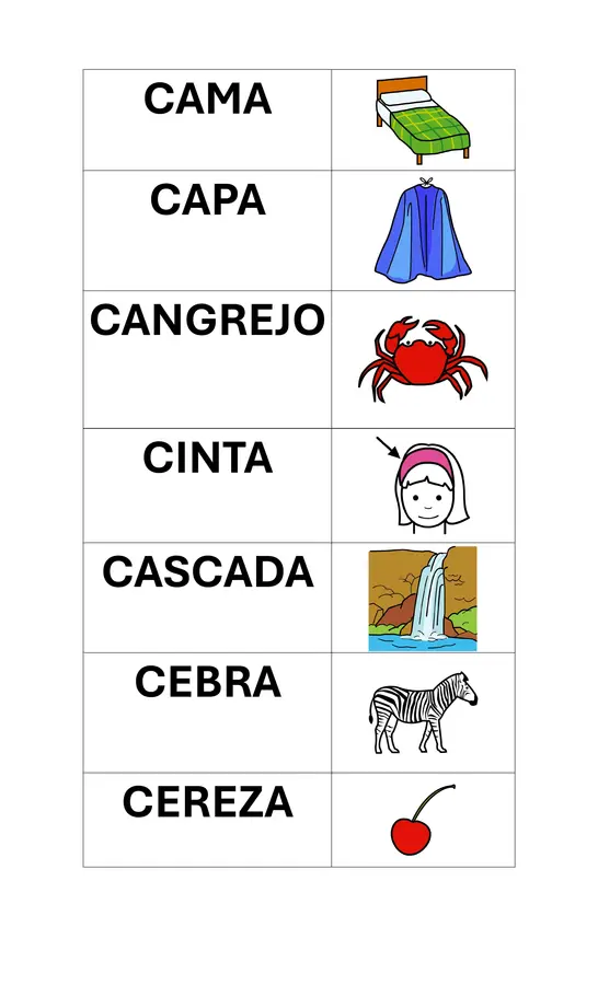MEMORICE CA-CO-CU CE-CI 