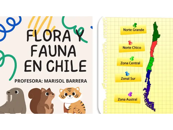 FLORA Y FAUNA DE CHILE - PRIMERO BÁSICO