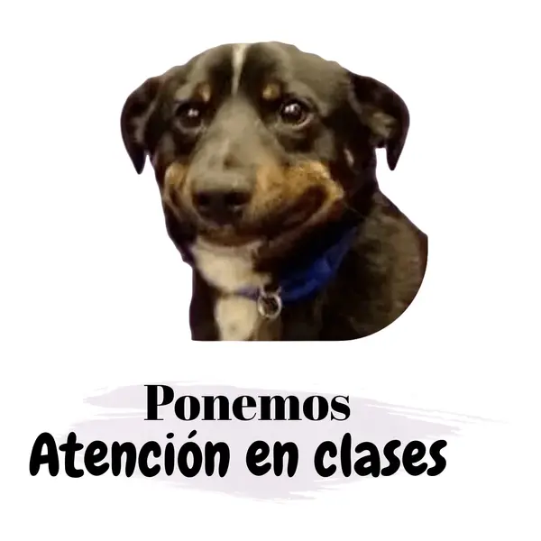 Normas de la sala versión meme