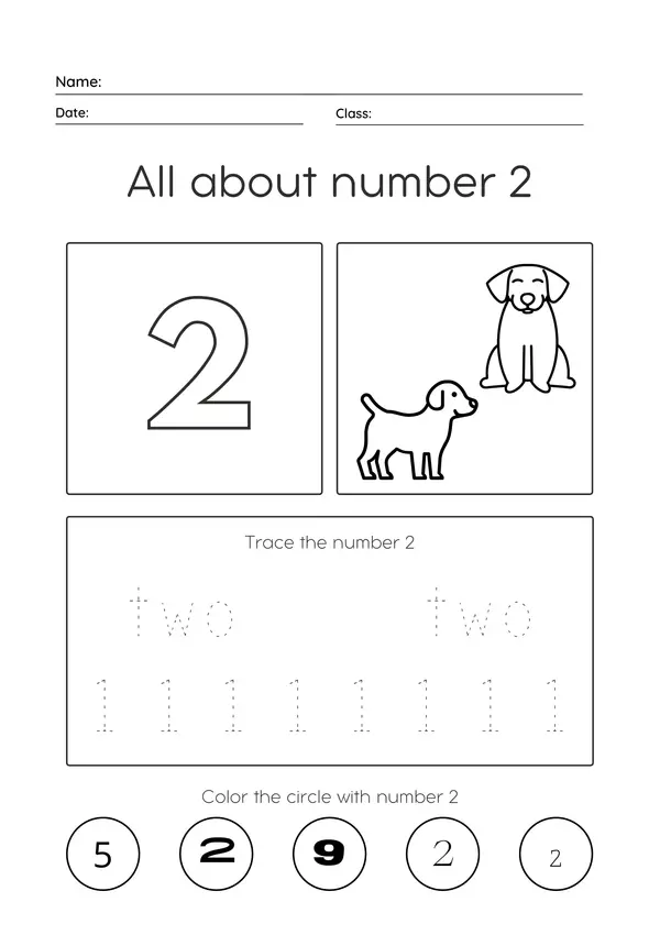 All about numbers