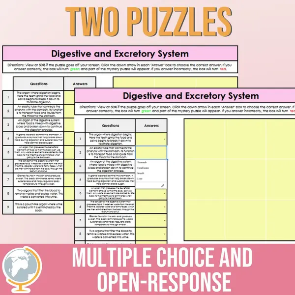 Digestive and Excretory System Mystery Puzzle