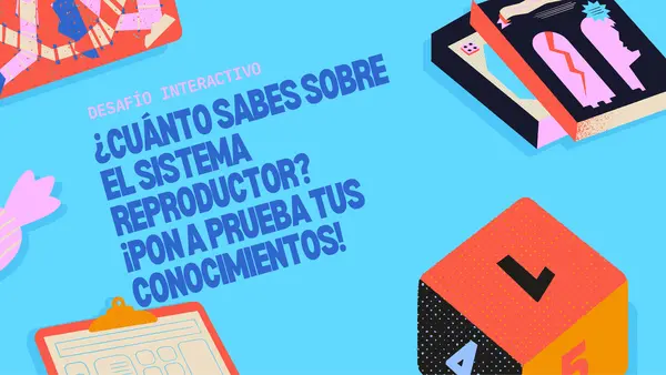 Juego Interactivo, SISTEMAS REPRODUCTORES