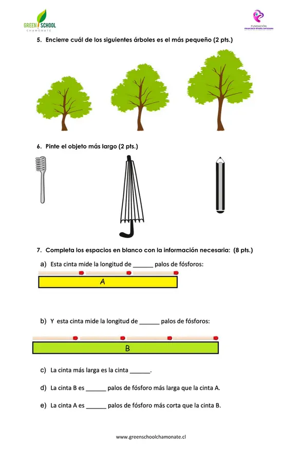 Evaluación de longitud primero básico