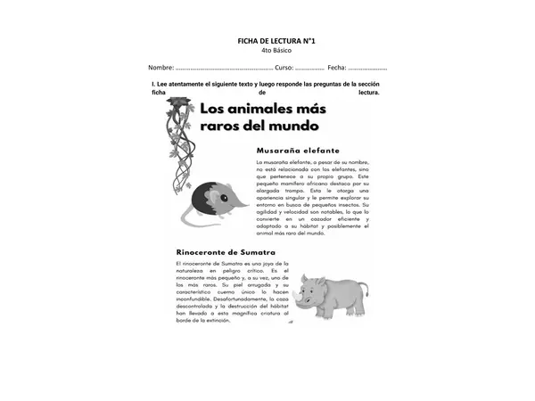SIMCE- Comprensión lectora 4to (10 fichas)
