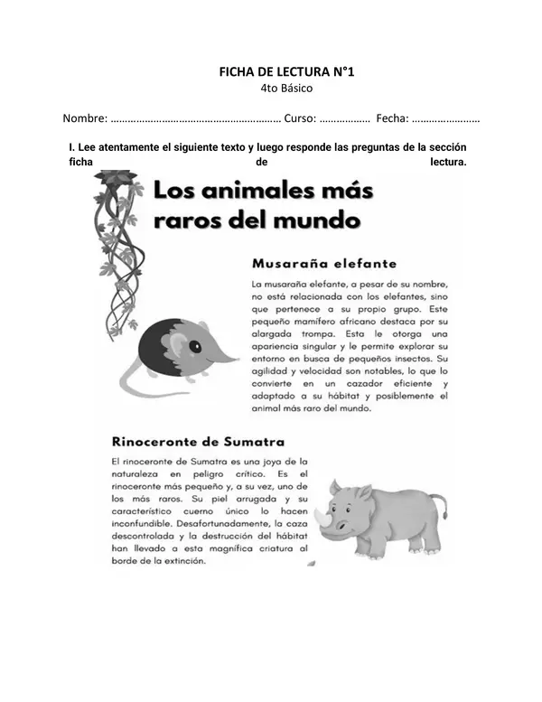 SIMCE- Comprensión lectora 4to (10 fichas)