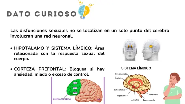 Trastornos sexuales DSM-5