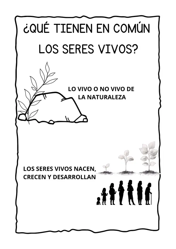 Seres vivos y no vivos