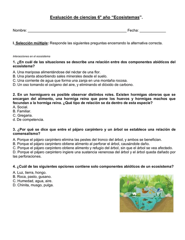 Evaluación 6°año "Ecosistemas"