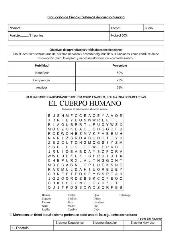 Prueba Ciencias: Cuerpo humano 4º básico