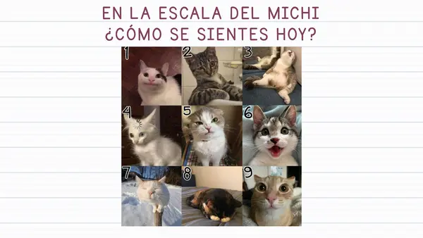 Elementos del Género Lírico