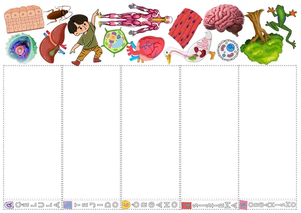 De la célula al organismo – Flap Book y Carteles Informativos
